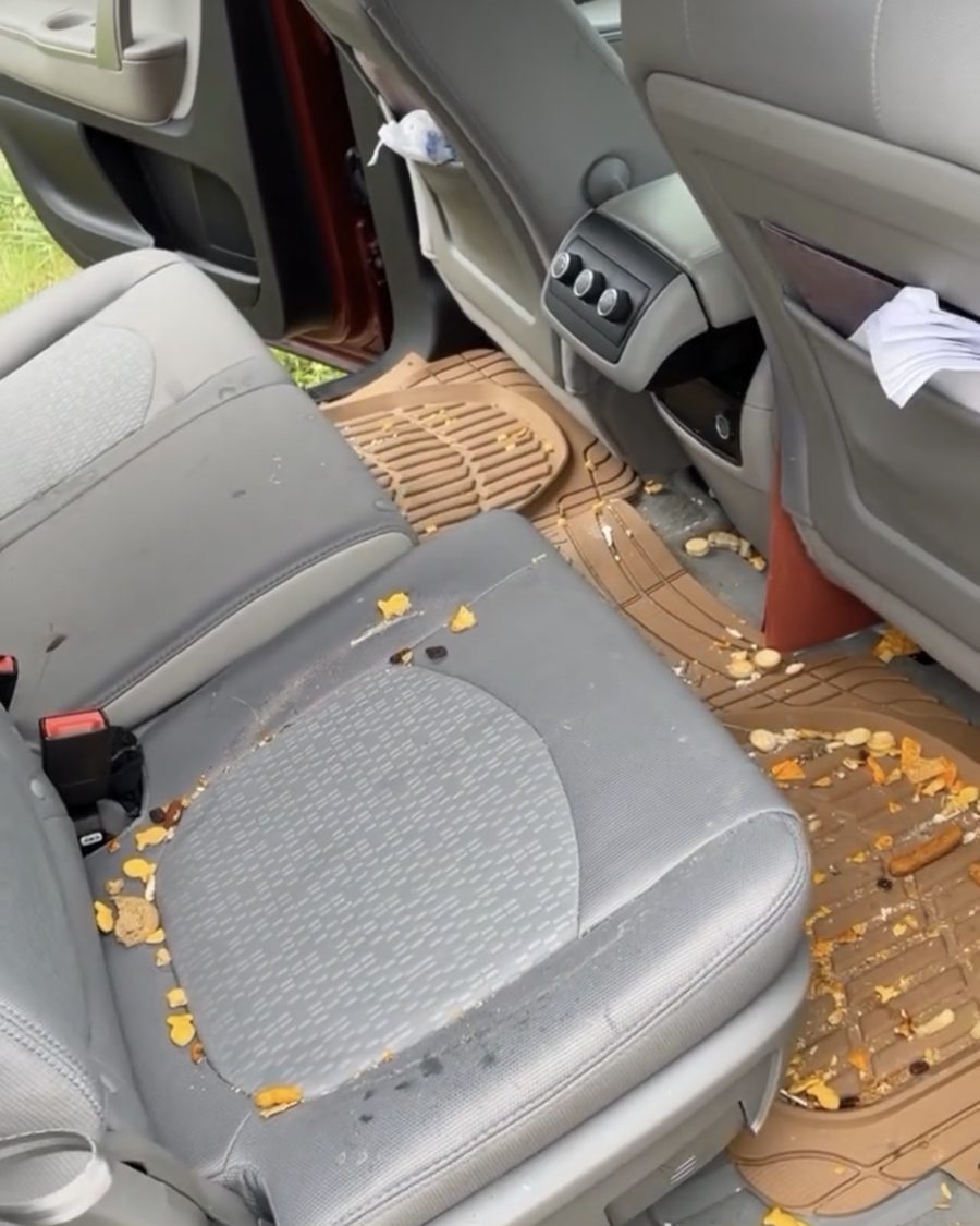 Vehicle interior before detailing — food debris and crumbs on seat and floor mats