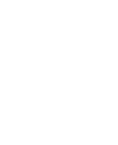 Always Perfect Detailing logo